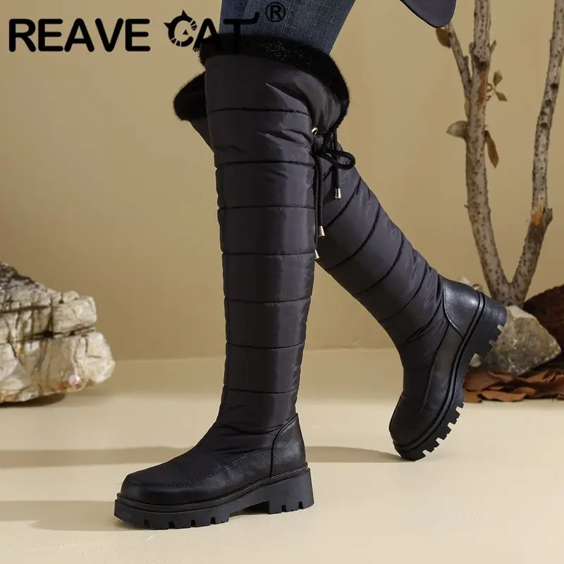 Reave Cat 2025 Wome… - image