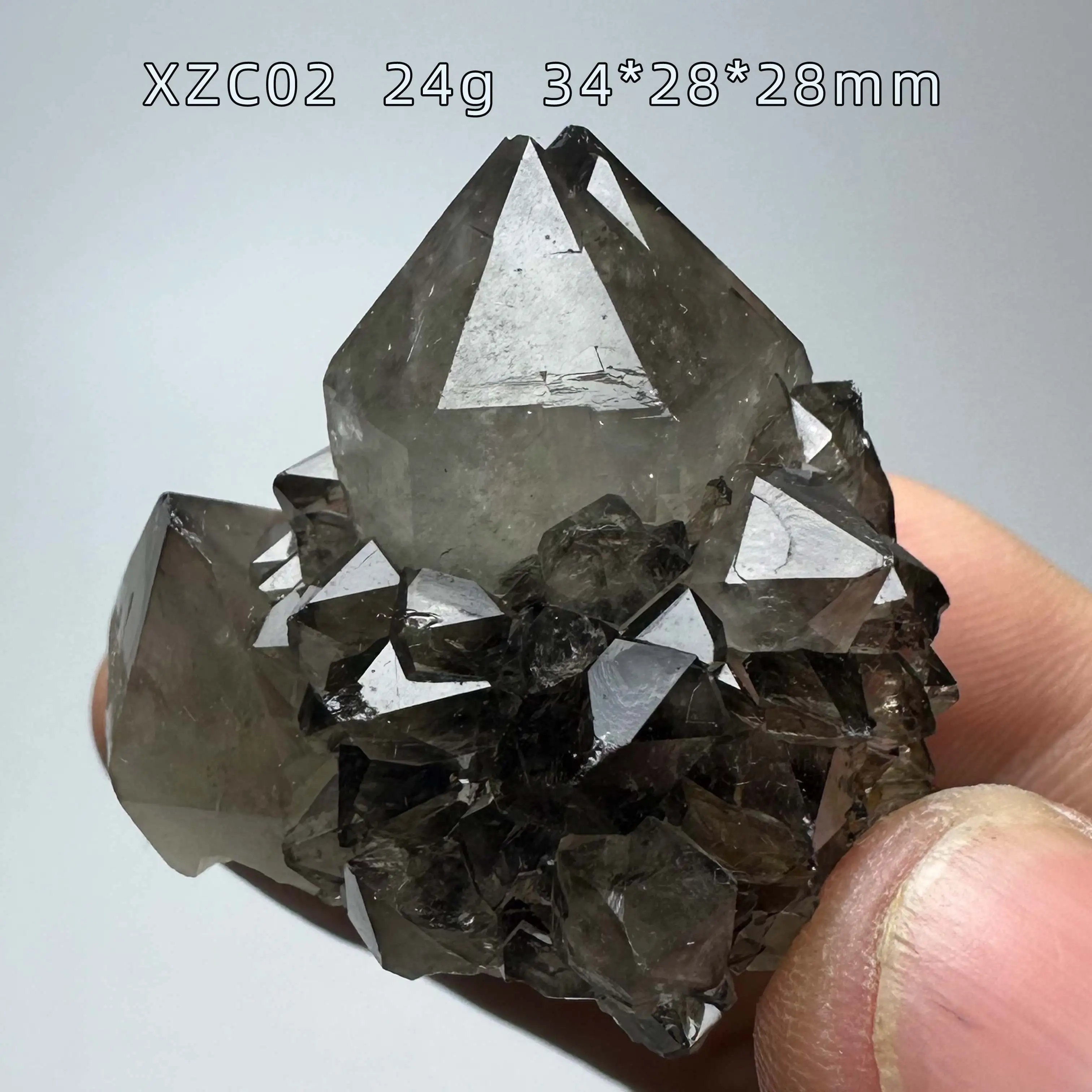 Natural cactus black crystal A rare product A home decoration item that can alter the feng shui
