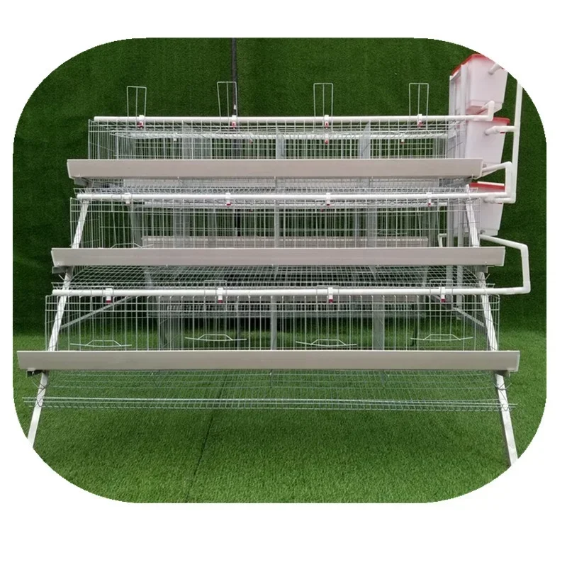 

Layer Cages Egg Chicken Cage 96 Chickens Poultry FarmHot Sales