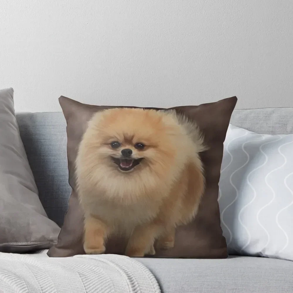

Pomeranian Throw Pillow Cushion Child Rectangular Cushion Cover luxury sofa pillows Pillows Aesthetic pillow
