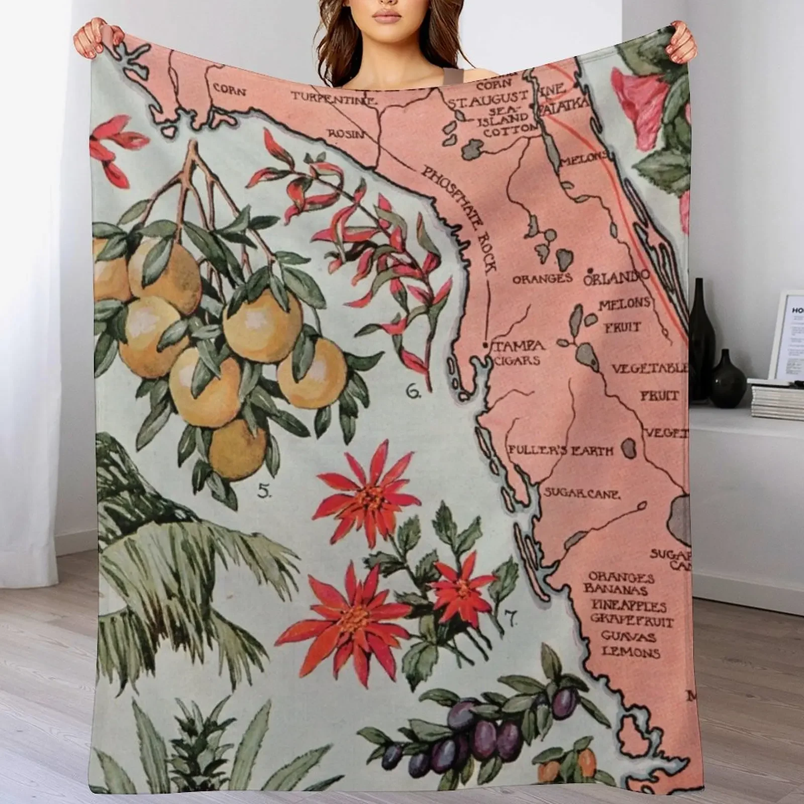 antique Map of Florida (1917) Throw Blanket heavy to sleep Thermals For Travel Winter beds valentine gift ideas Blankets