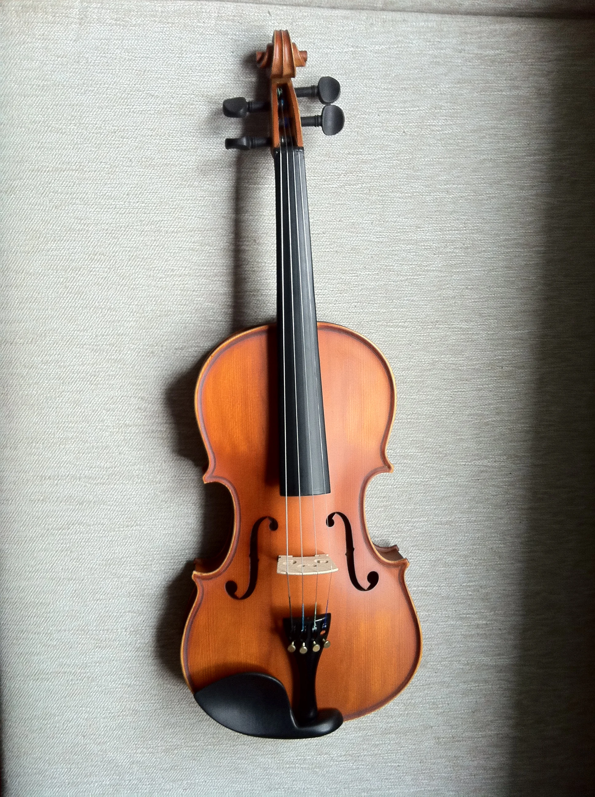 Violin VA-202 Premium Student Violin Easy to Play and Learn