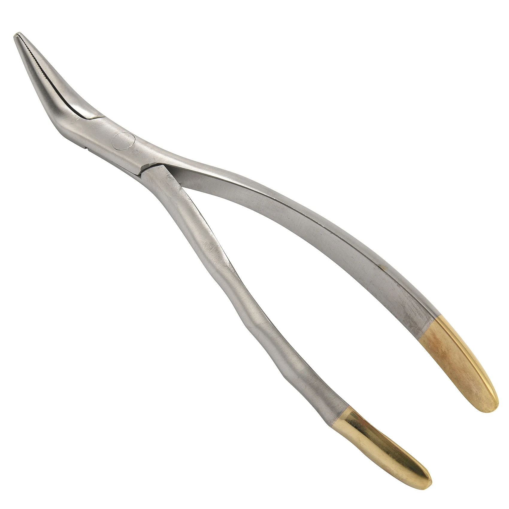 Dental Root Fragment Minimally Invasive Tooth Extraction Forcep Tooth Pliers Dental Instrument Curved Maxillary Mandibular Teeth