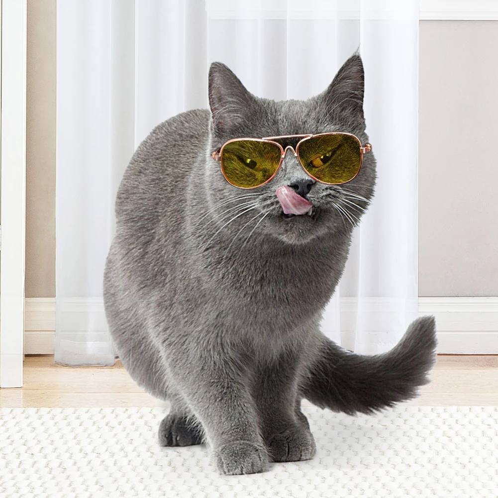 Glasses For a Cat Pet Products Goods For Animals Dog Accessories Cool Funny The Kitten Lenses Sun Photo Props Colored Sunglasses