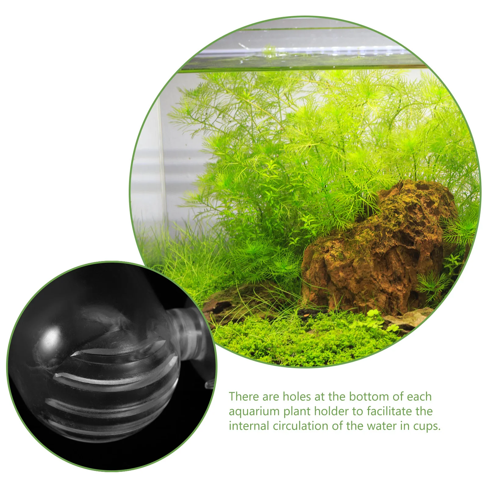 

4Pcs Acrylic Fish Tank Planters Aquarium Plant Holders Feeding Cups Suction Cups Fish Tank Supplies Aquarium Decor