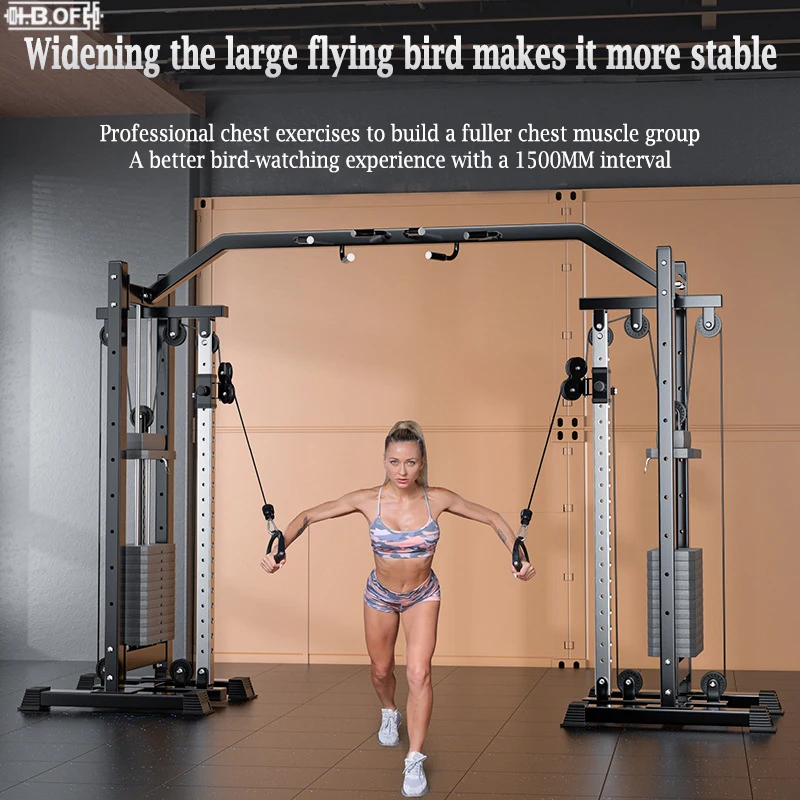 Big Flying Bird Trainer Longmen Frame Fitness Home الكل في واحد آلة سحب تجارية في معدات التدريب الشاملة