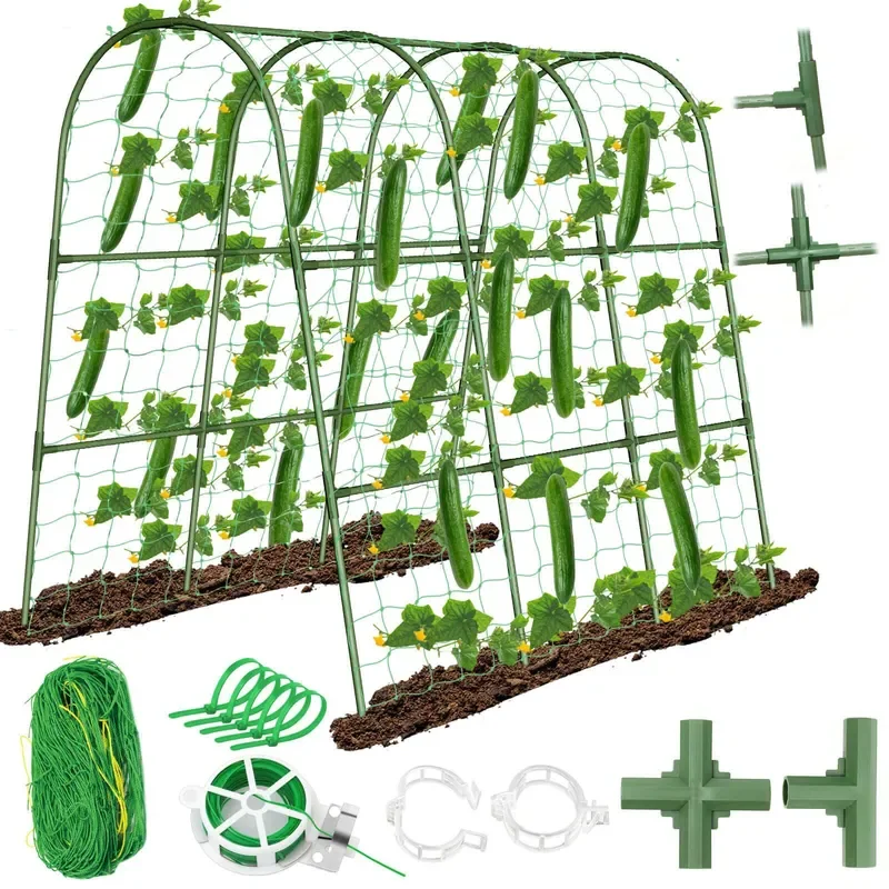 Assembled Cucumber Rack and Vine Climbing Rack
