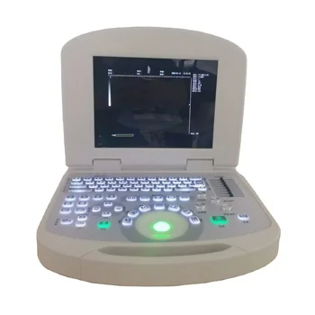 On Sale Portable Laptop B/W Ultrasound Scanner Veterinary Equipment Medical Hospital Imaging System