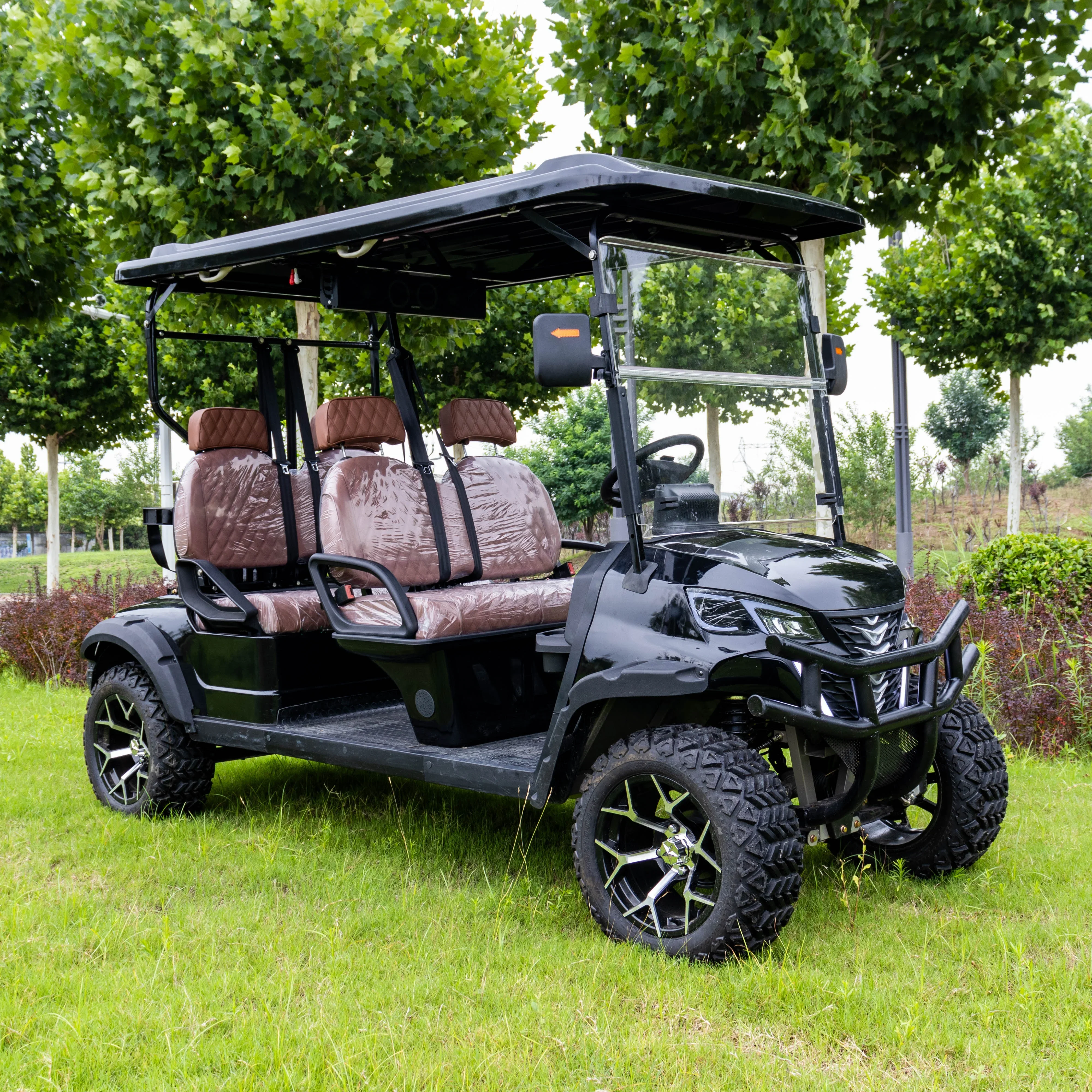 Electric Golf Carts Battery Operated Golf Push Carts Battery 6 Seater