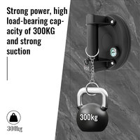 Electric Vacuum Suction Cup 300kg Bearing Capacity Heavy Duty Vacuum Lifter for Granite Tile Glass Manual Lifting