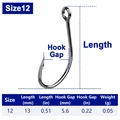 Size12