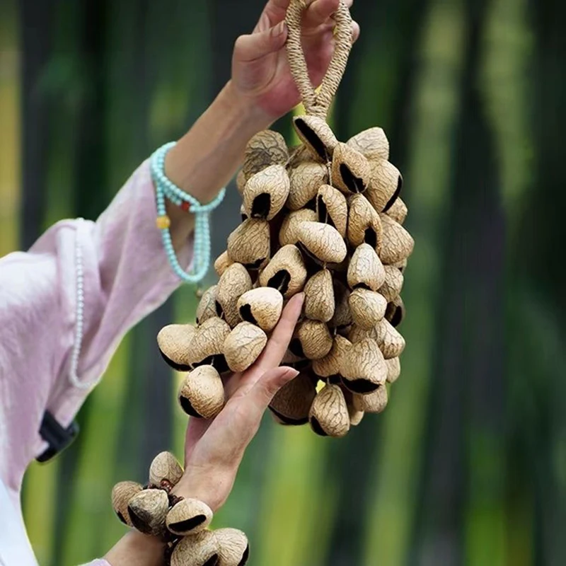 

Natural Fruit Shells Hand Cranked Wind Chimes Sound Healing Tinkle Bell Yoga Meditation Professional Accompany Orff Instruments