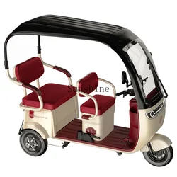 Electric tricycle with shed to pick up children and the elderly tricycle battery car