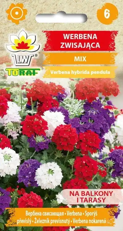 Verbena hanging flower seeds for home and garden 0.3g-TORAF