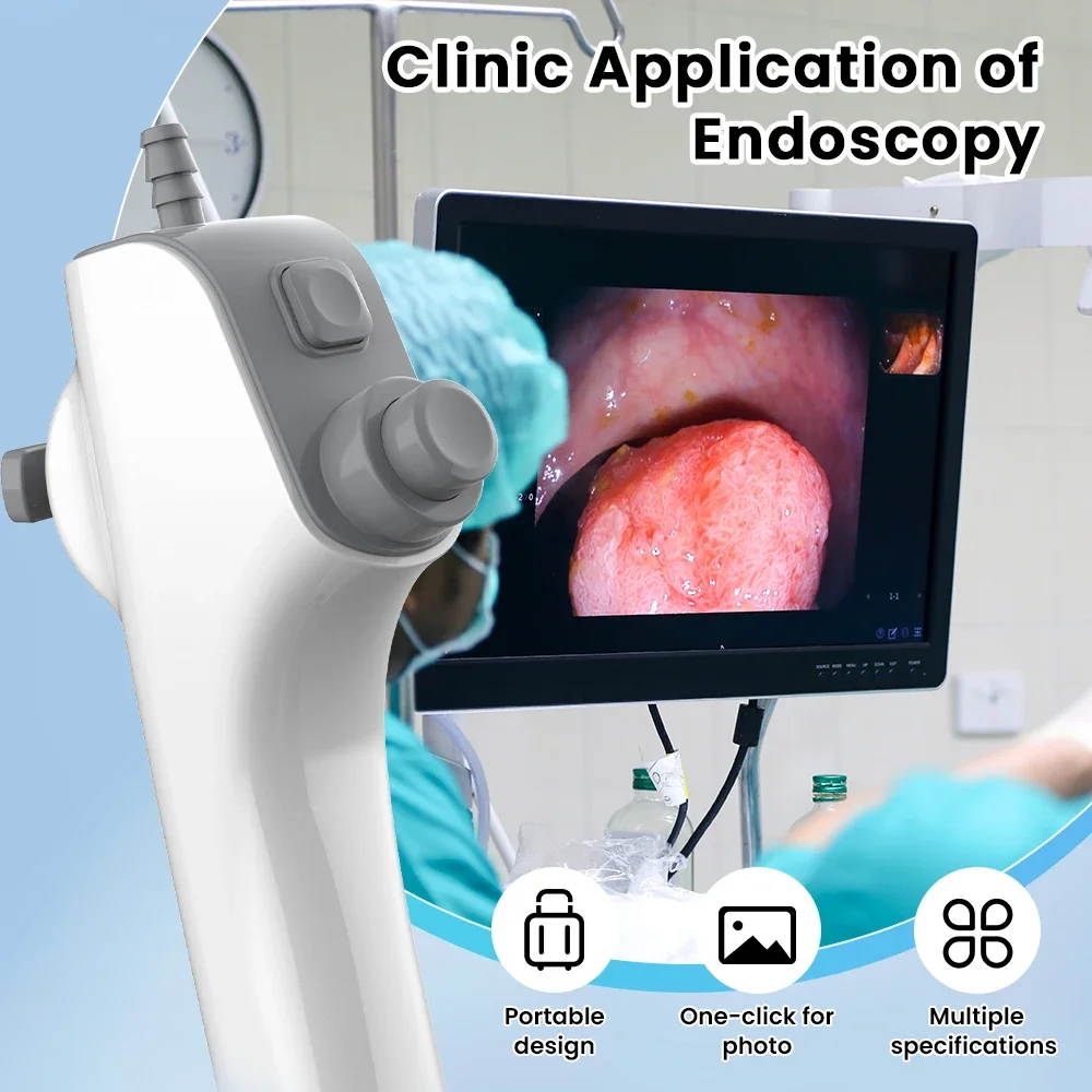 

ENT Veterinary Endoscope Camera Multi-function Flexible Urology Endoscopy Cystoscope For Animal Pet Surgical Equipment