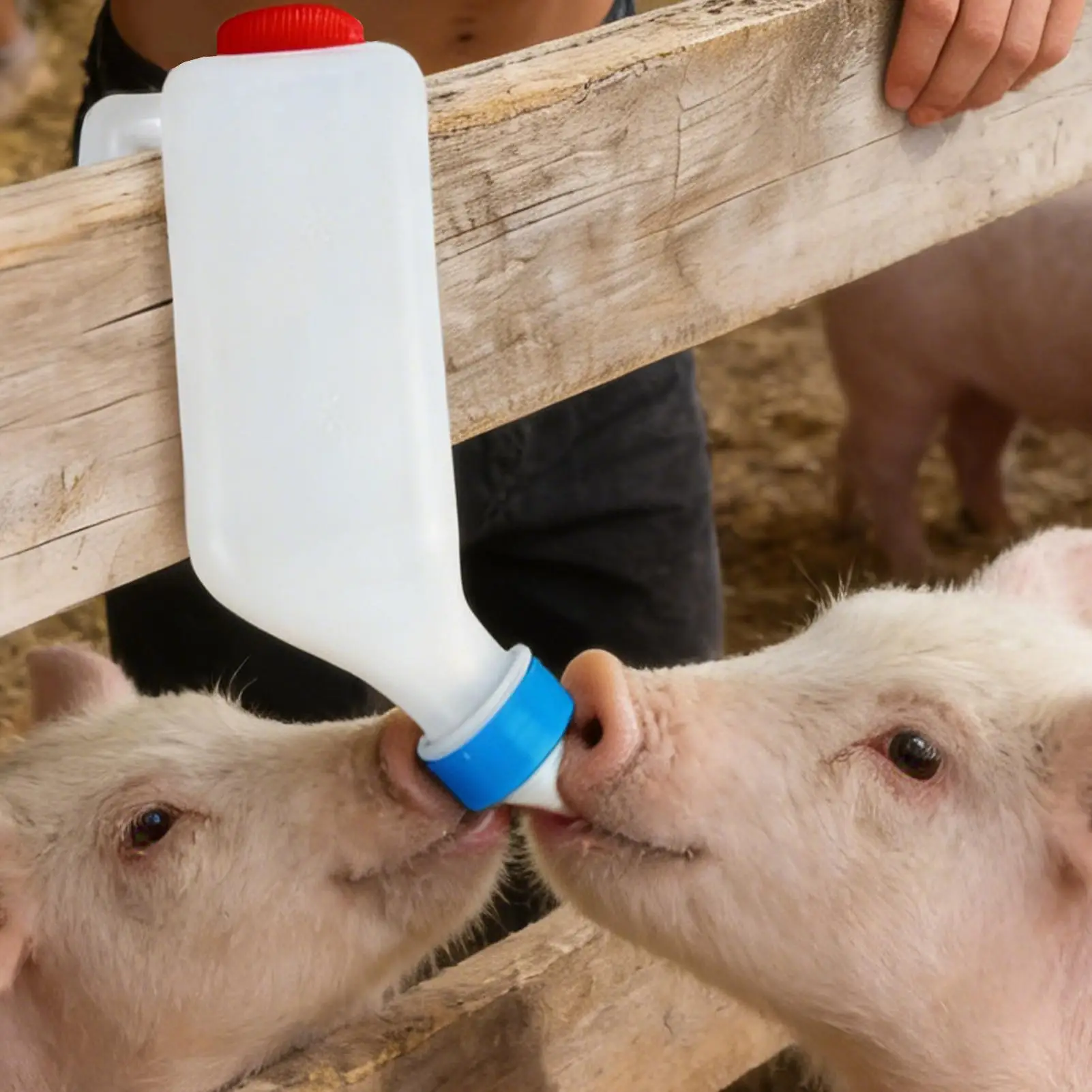 2Pcs Lamb Bottle Goat Milk Drinker with Scale Lamb Watering Bottle for Farm Barn Ranch Fence Outdoor Livestock Dwarf Doeling