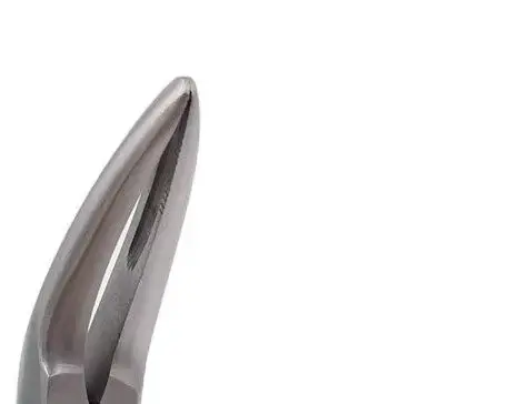 

Dental Residual Root Tweezers Tooth Extraction Forceps Curved Maxillary Mandibular Teeth Universal Pliers Dentist Oral Lab Tools