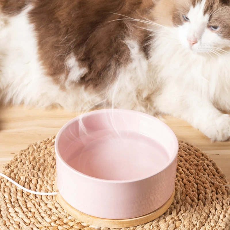 ثرموستاتي القط وعاء الماء القط التدفئة السيراميك القطط موزع مياه كلب جرو هريرة شارب الحيوانات الأليفة الكلاب القطط الأطباق لوازم