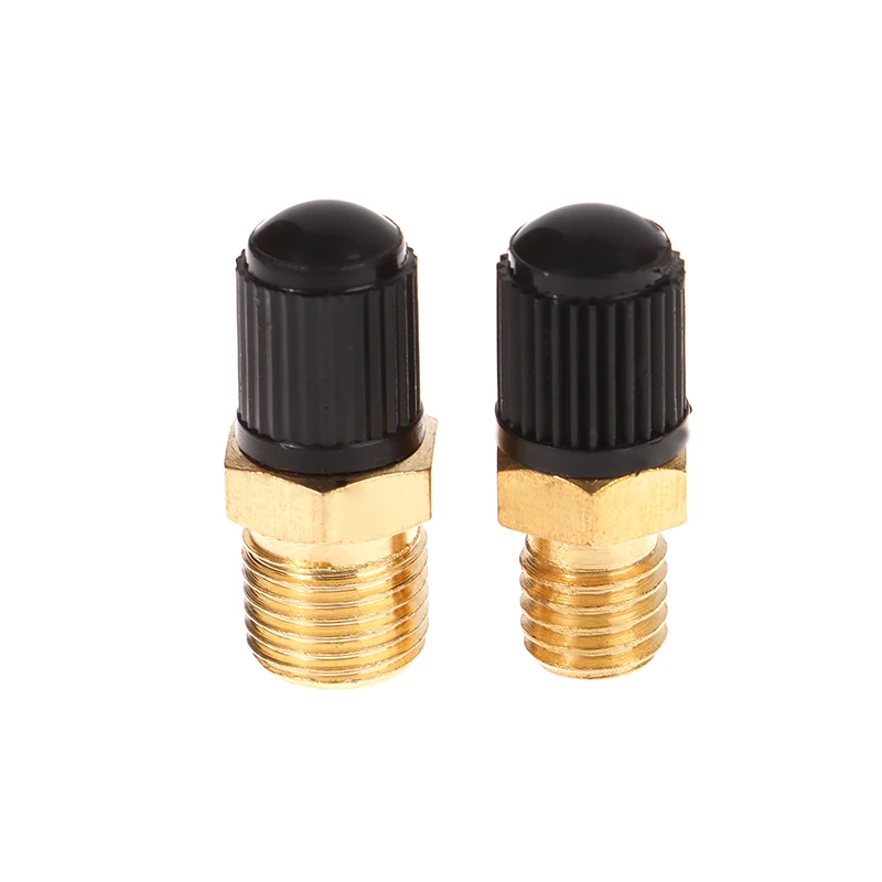 1 unidad M10 M8 accesorios DIY válvula de llenado de tanque de compresor de aire válvula de llenado de tanque de latón Hexagonal núcleo de válvula roscada M8/M10
