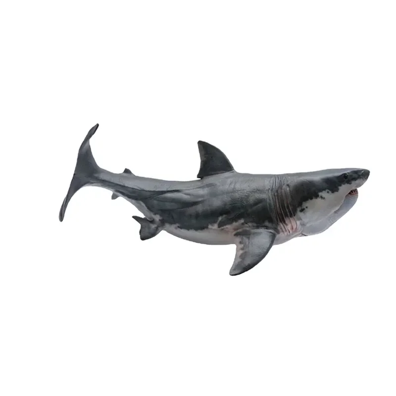 Megalodon Model Figure Action Shark Prehistoric Ocean Animal Adult KidsScience Education Toys Home Decor