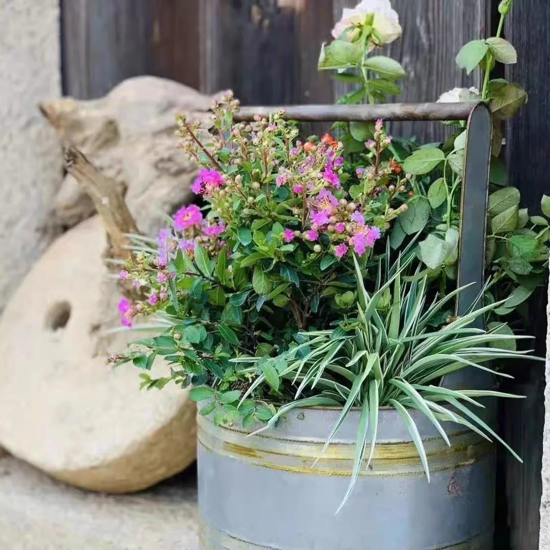Vintage Galvanized Metal Bucket Planter with Handle, Rustic Farmhouse Garden Tool Storage Basket