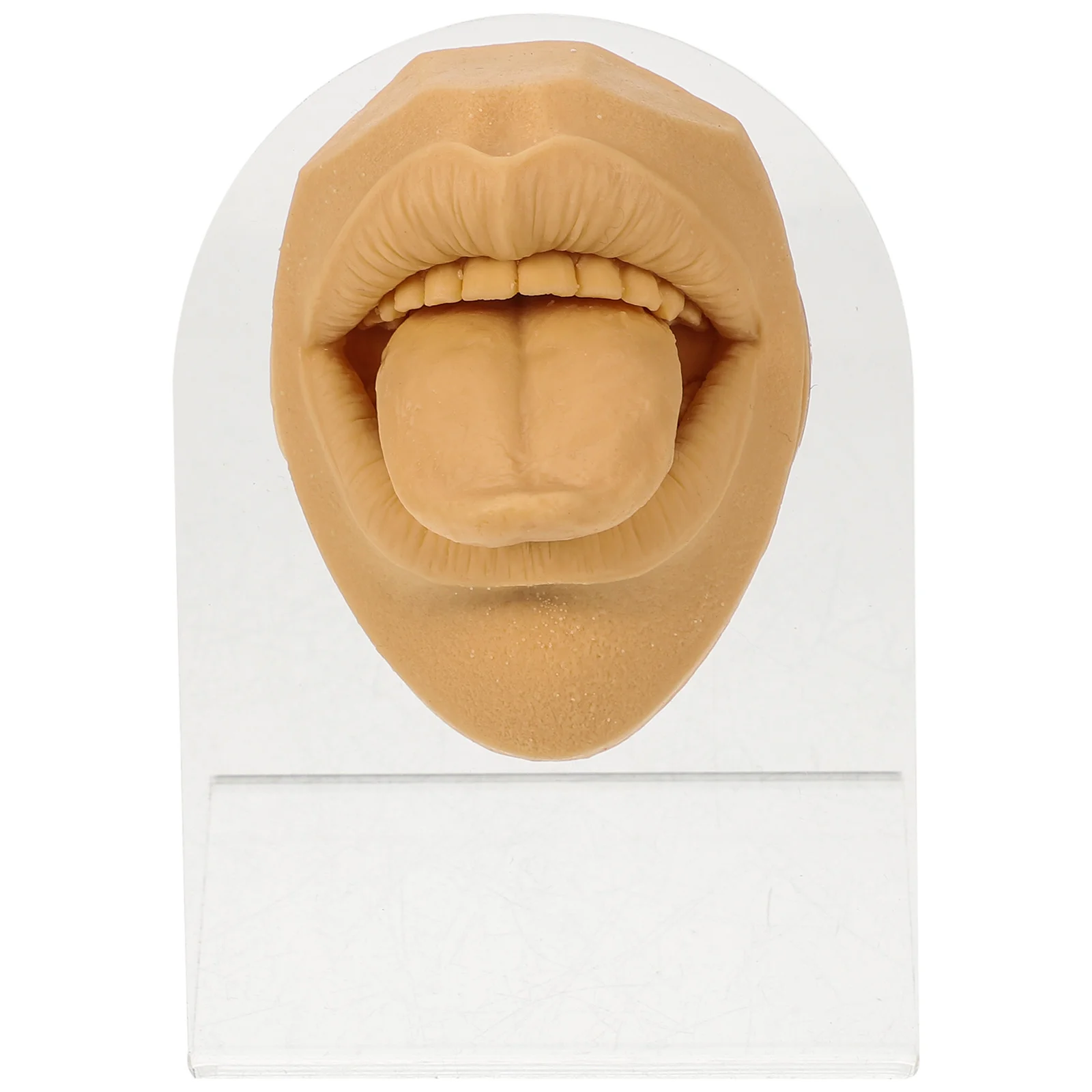 

Model Tongue Nail Body Part Mannequin Silicone Fake Face Training Piercing Practice for Nose Mouth