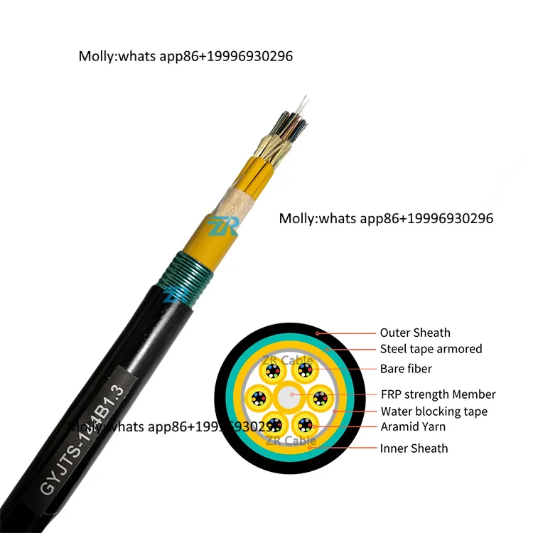 Indoor 24 36 48 72 96 144 Core GYJTS Armored G657a2 Fiber Optical Cable OS2 OM2 OM3 OM4 SM Single Mode Distribution Fiber Cable
