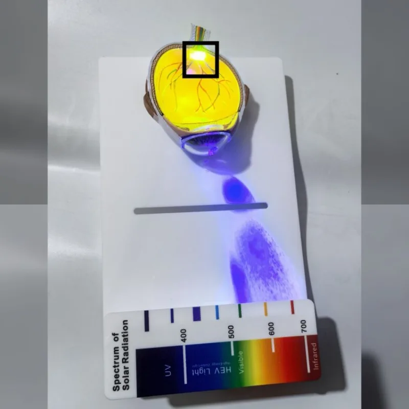Blue Light Spectrum Analyzer, Anti-blue Light Detector UV + 420cut Glasses Equipment Instrument