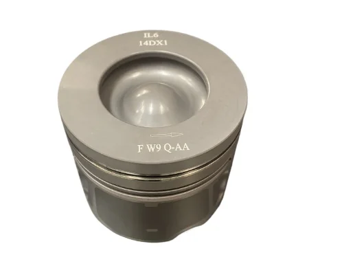 Piston With Rings S…