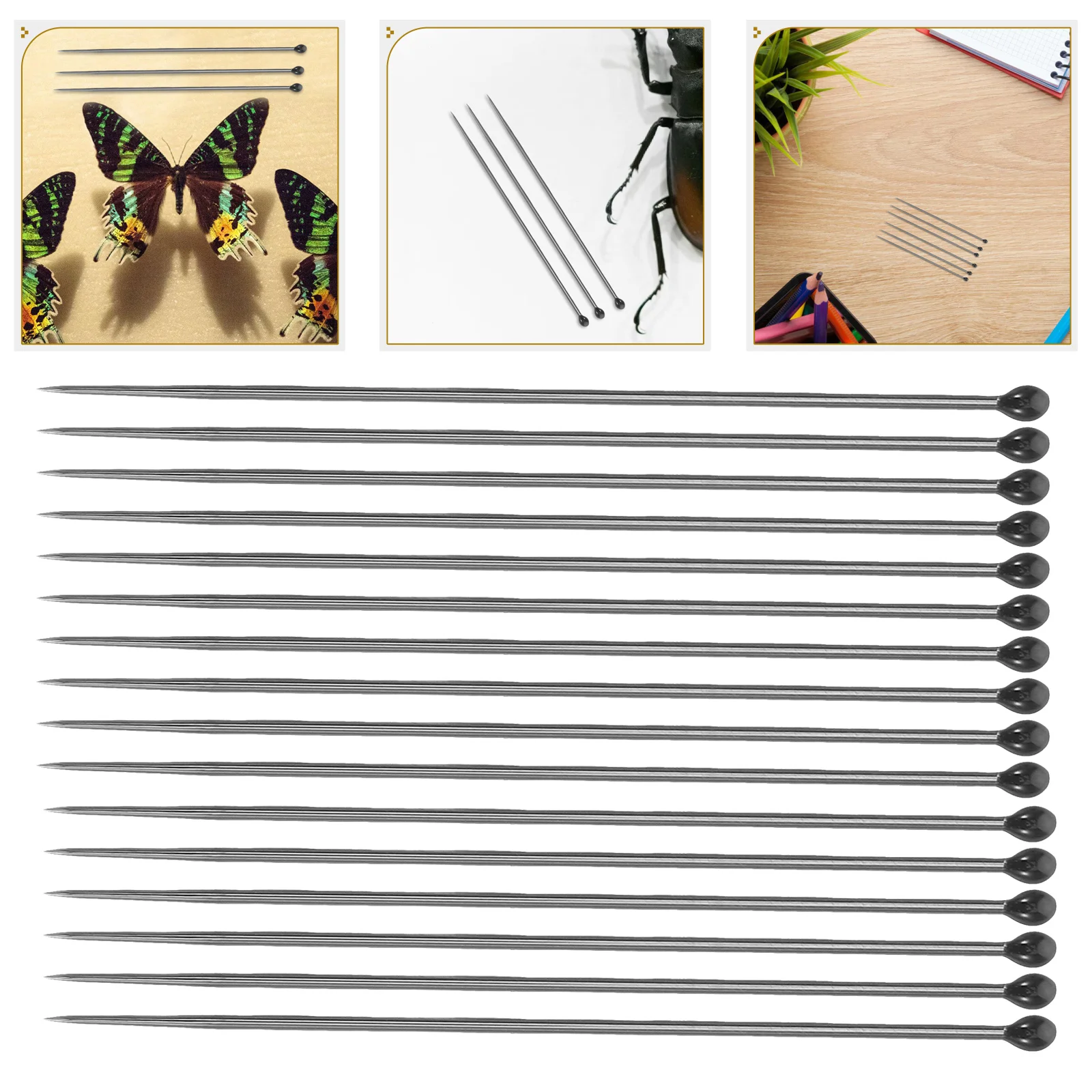 

100pcs Pin For Butterfly Stainless Steel Display Pins Multi-Functional Specimen Fixing Tools For Entomology Insect Mounting
