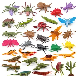 Simulation Miniature Insects Figurines Animal Set Teaching Aids Model Spider Butterfly Biology Education Toys Landscape Ornament