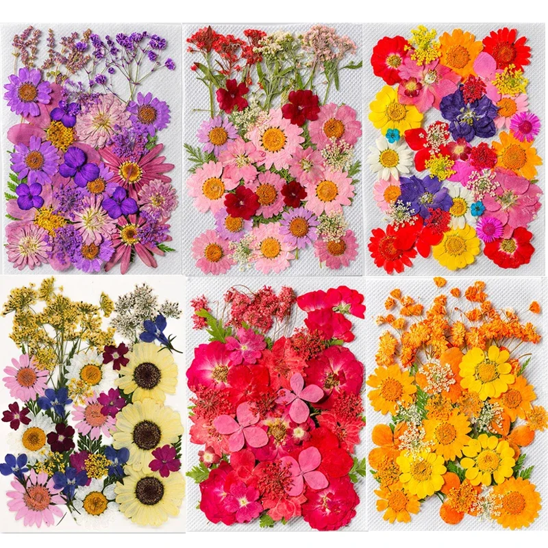 35PCS Set Dried Press Flowers Kit for DIY Resin Candle Mold Fiilings Natural Dries Flower Petal Nail Art Decorations