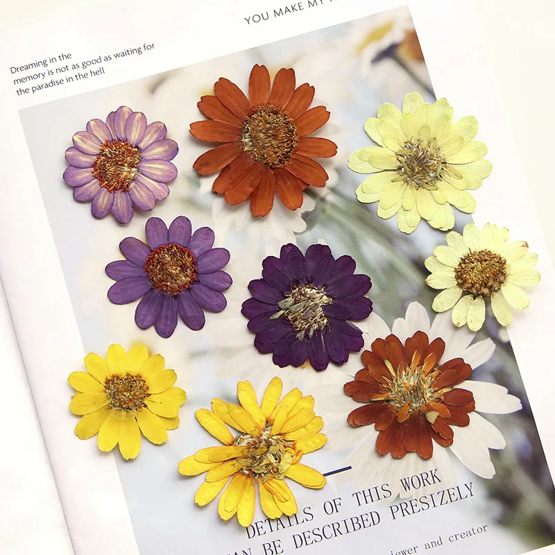 Juego de 12 Uds. De flores prensadas reales de 3,5-6cm, Kit de arte, flores de Zinnia secas DIY para molde de resina, fabricación de marcapáginas de joyería