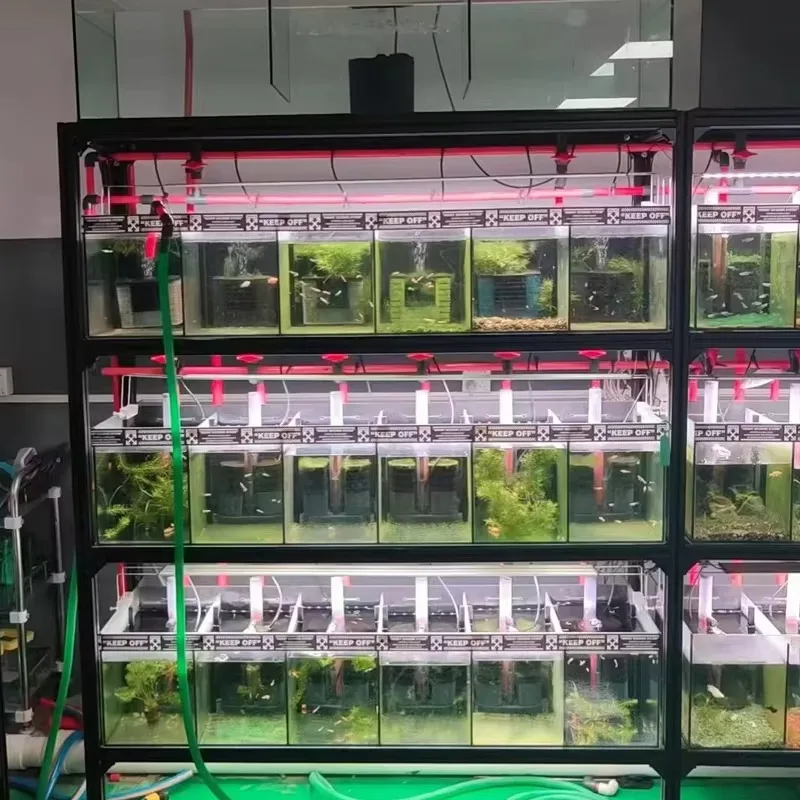 

Aquarium Medium and Small Ultra white Glass Landscaping Fish Tank Stream fish tank Aquaculture fish tank