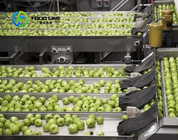 Cloudy Apple Juice Production Line Reasonable Processing Craft To Maintain Pulp Content And Rich Taste Of Original Fruit