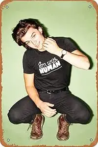 Metal Sign - Joe keery Tin Poster 12 X 8 Inches 1pc sign