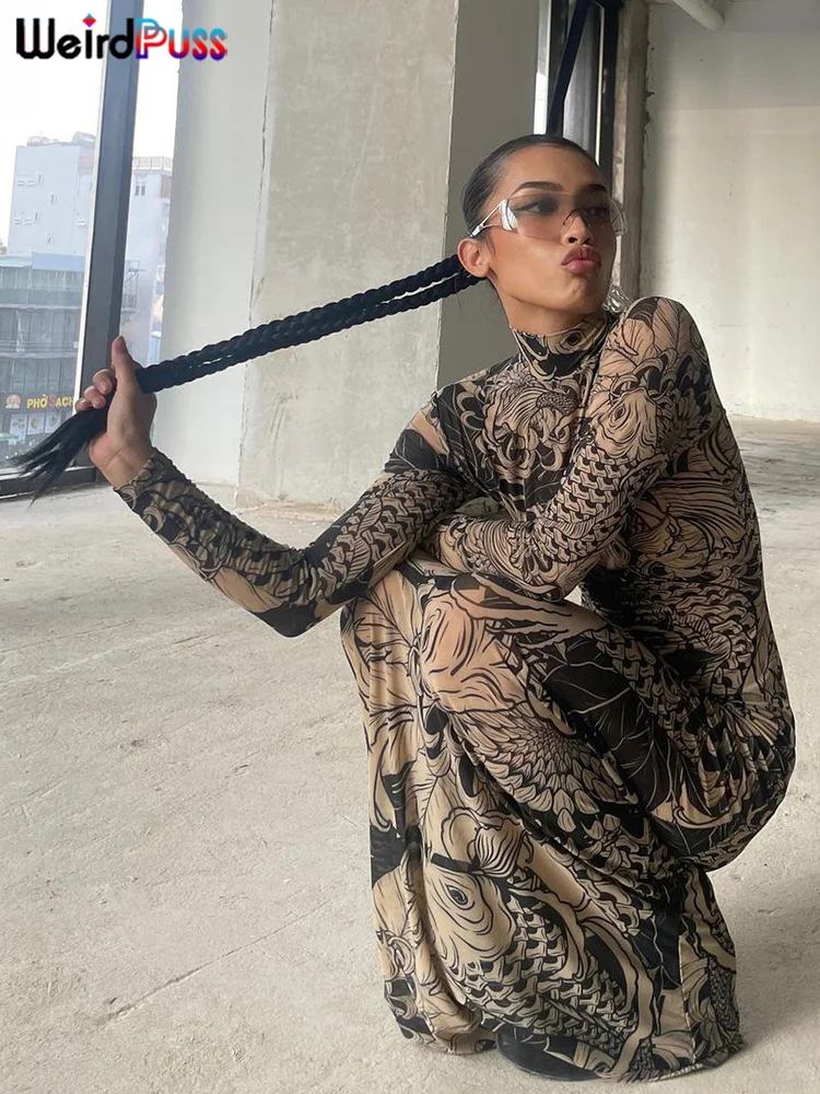 Weird Puss Mesh Print Women Maxi Dress Turtleneck Full Sleeve Bodycon Autumn Trendy Hipsters High Street Party Y2K Attirewear - Image 4