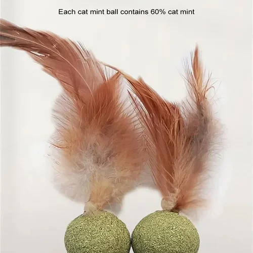 고양이 잔디 동결 건조 고기 사각형 입자, 고양이 간식, 바로 먹기, 제모 헤어 볼 정제, 새끼 고양이 먹이에