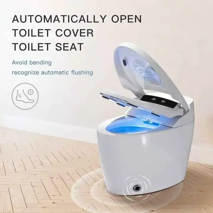 Luxury 220V Wall-Mounted Smart Toilet for Europe One-Piece Dual Flush with Stainless Steel Remote Control & Elongated Bowl