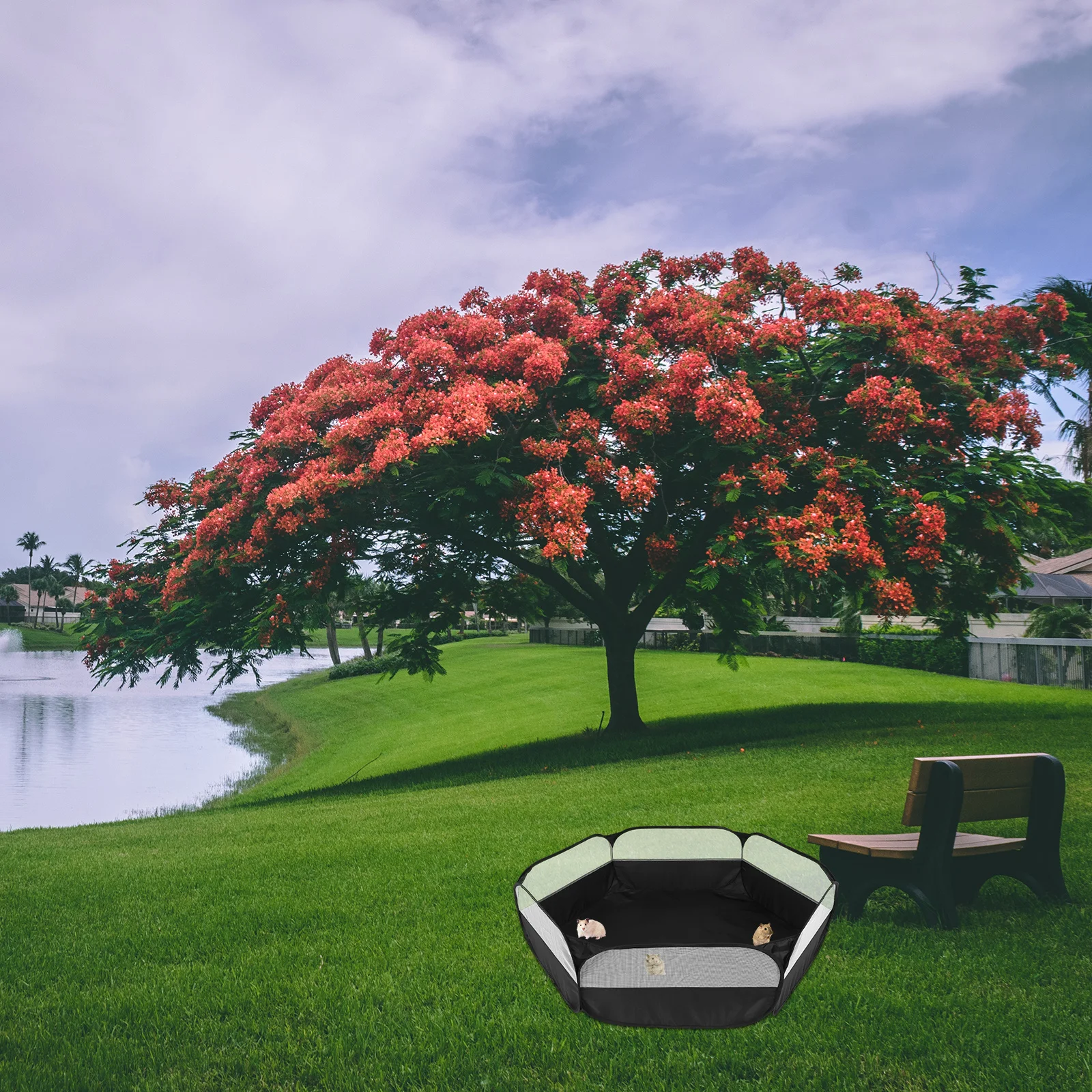 روضة أليف قابلة للطي للحيوانات الصغيرة مادة النايلون قوي وآمن للاستخدام الداخلي أرنب الهامستر شينشيلا ملعب خنزير غينيا #4