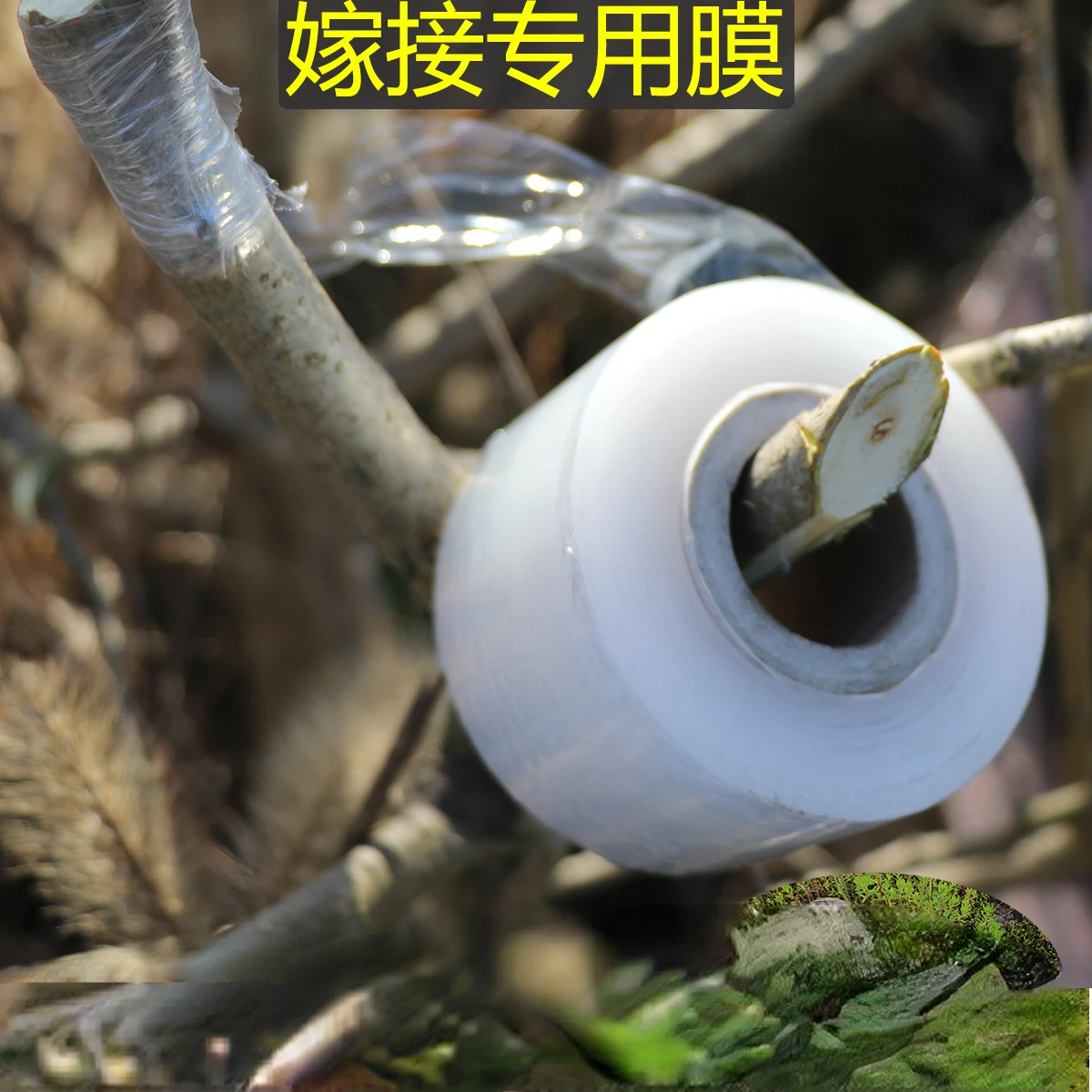 Special film grafting tape for fruit tree grafting Wrapping film PE transparent self-adhesive film 3cm binding tape