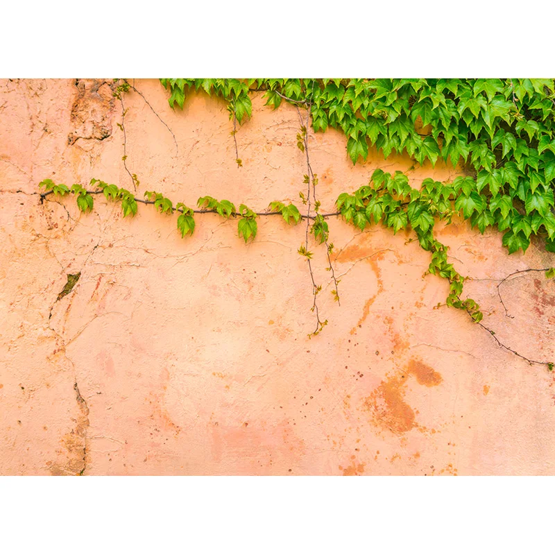 Vintage Tường Gạch Nền Vinyl Chụp Ảnh Phông Nền Chụp Ảnh Nền Cho Studio Ảnh Đạo Cụ 210327CAZ-03