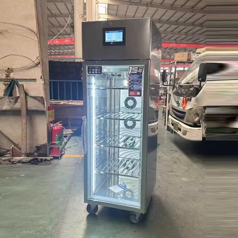 2026 New  Kitchen  Defrost Cabinet Air-Cooled Low-Tem High-Humidity Single-Door  Frost-Free CE  Thawing Cabinet Customized