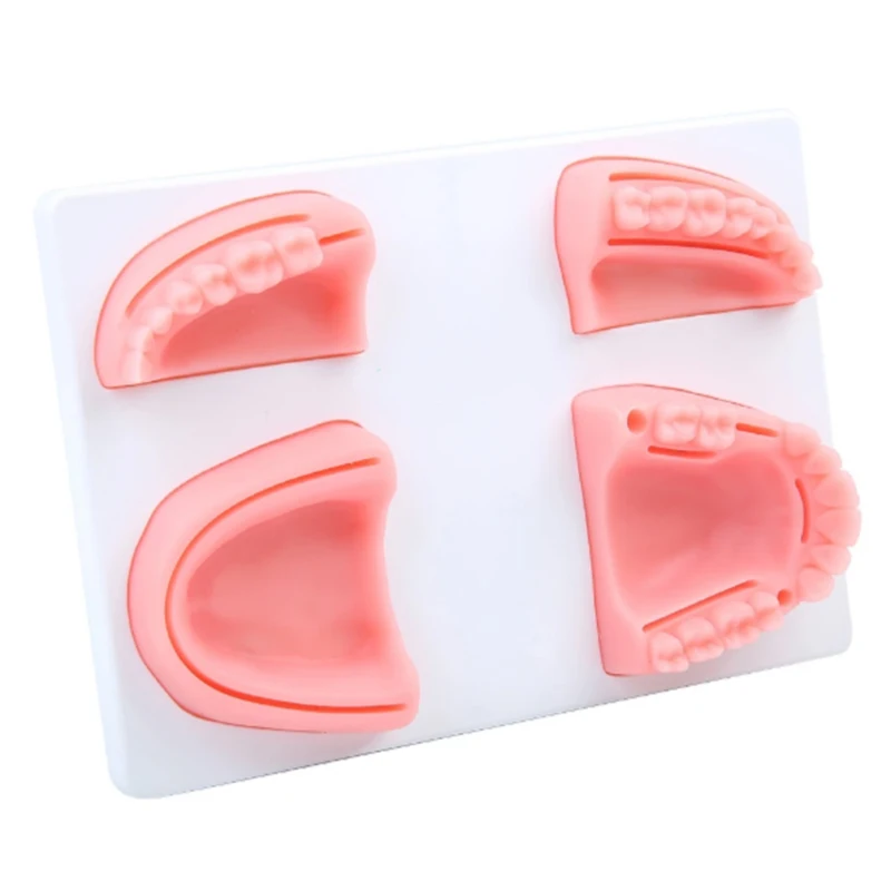 

Dental silicone simulated practice suture pad model with oral teeth wounds suture training pad