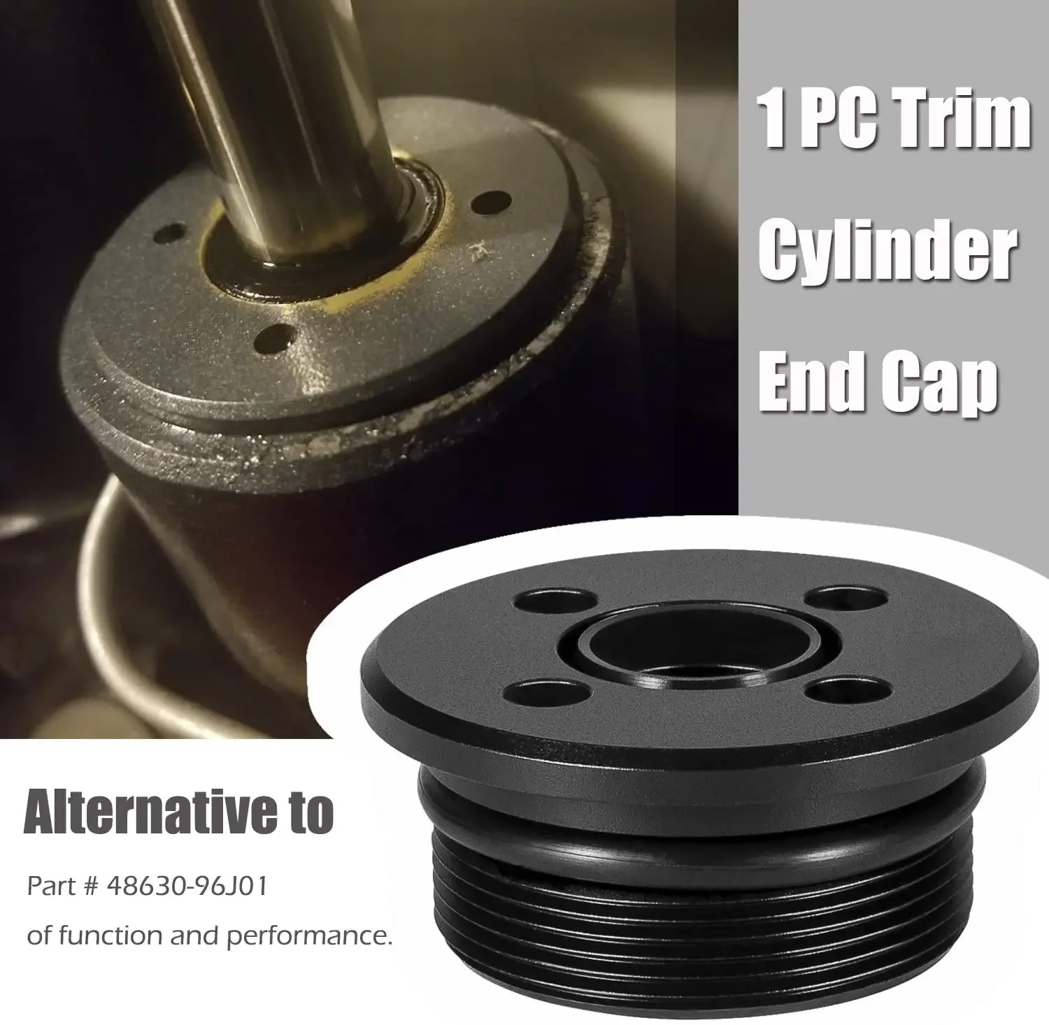 Suzuki/Yamaha Trim Cylinder End Cap 48630-96j01 - usage example