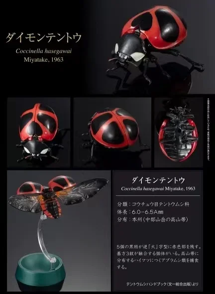 Genuine Gacha Scale Model, Simulação Cognitiva Biológica, Figura de Ação Sete Manchadas Lady Beetle, Brinquedos Japoneses