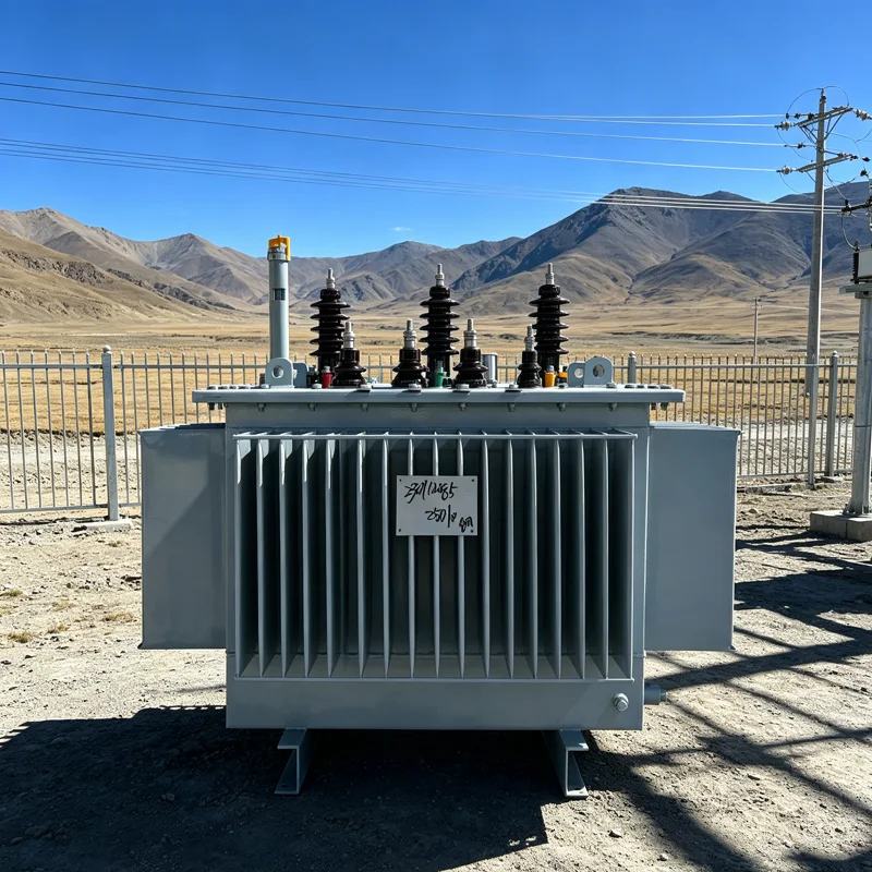 50KVA 100KVA 160KVA 200KVA 250KVA 315KVA 400KVA 500KVA 10KV Three 50/60Hz 400V Oil Immersed Electrical Power Distribution