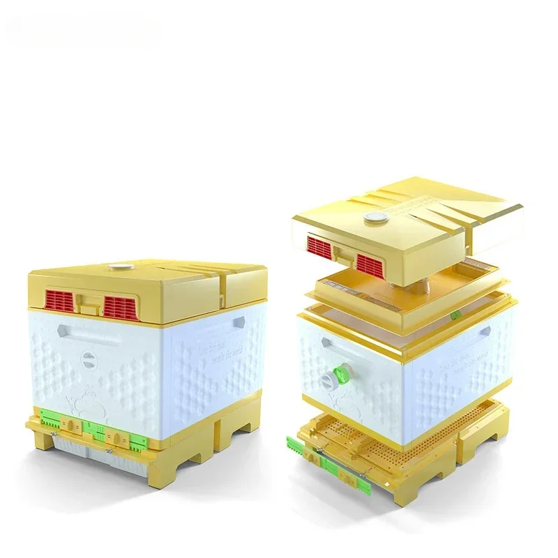 Caixa colmeia abelha Dadant