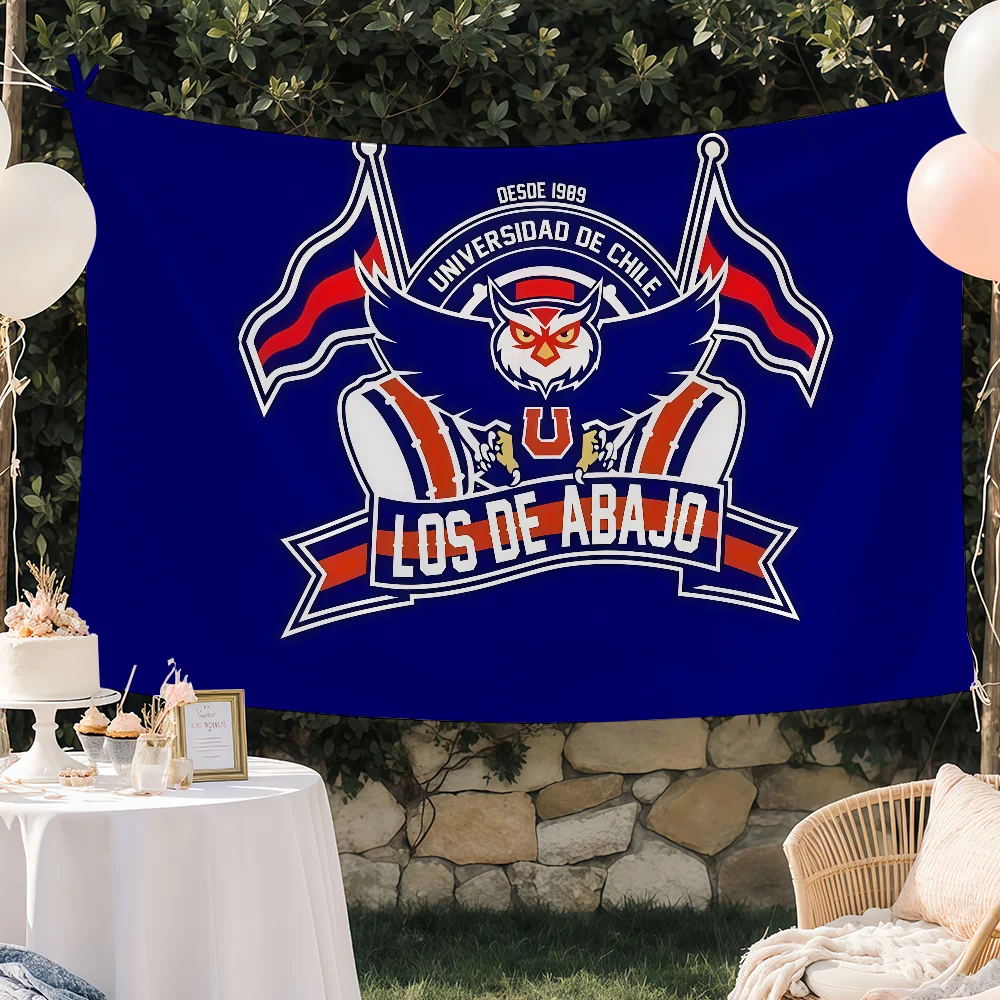 Famosa bandera de la Universidad C-Chile, decoración personalizada para jardín y camping, telones de fondo para fiestas, arte de pared, regalos familiares