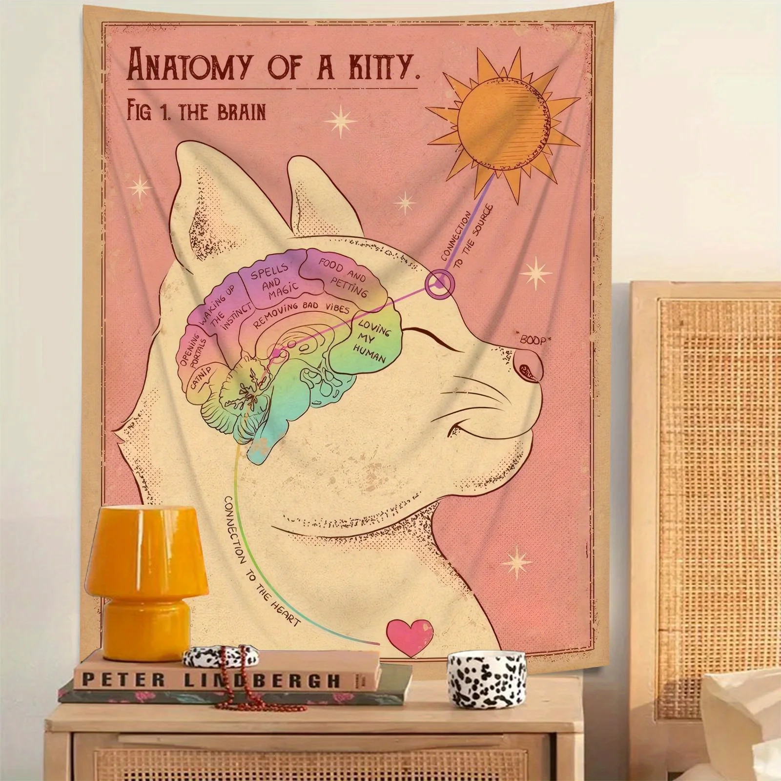 2D Flat 1pc Funny Cat Anatomy Art Tapestry - Whimsical 